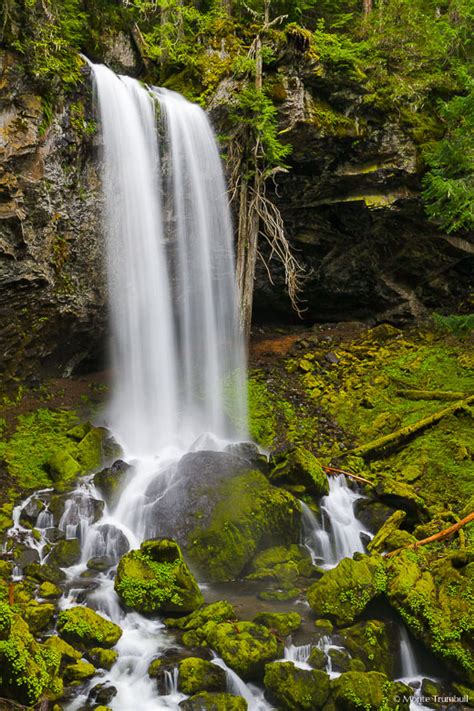 Split Personality Grotto Falls In Oregon