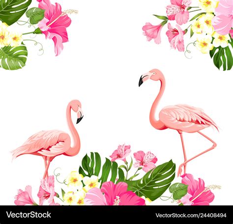 Flamingo Background Design Tropical Flowers Vector Image