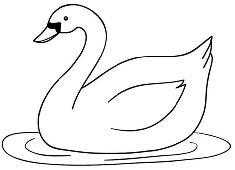 Maybe you would like to learn more about one of these? Image result for gambar hewan bebek | Ilustrasi hewan ...