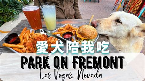 Park on Fremont | Dog Friendly Restaurant | Las Vegas, NV - YouTube