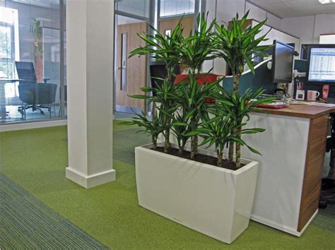 Plants Make A Difference To Worcester Offices Office Landscapes