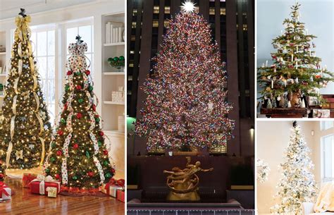 How Did The Tradition Of Christmas Trees Start