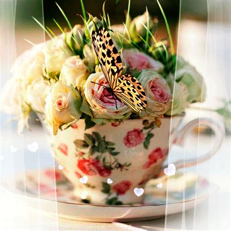 Unsere dienstleistungen im bereich zahnimplantate. Pin em Immagini animate