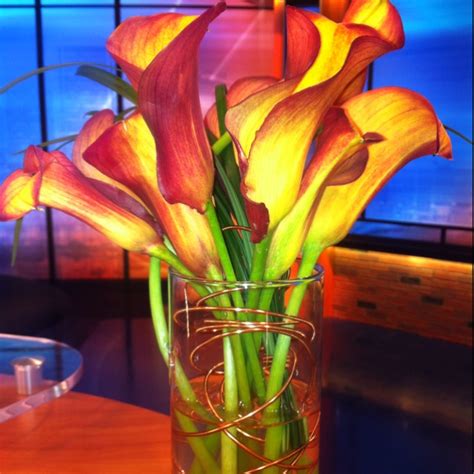 We did not find results for: This flower looks like glow in the dark as the yellow ...