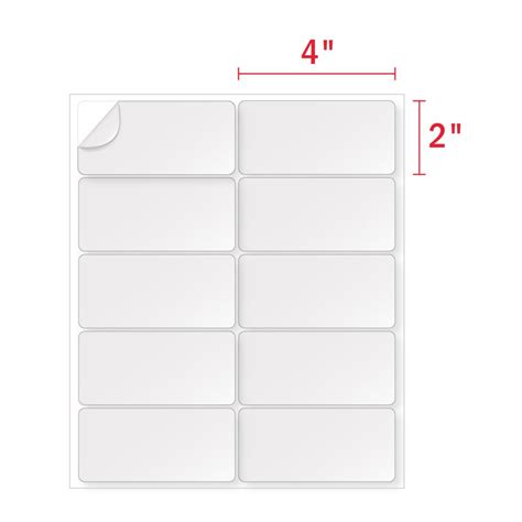 Labeling 101 Choosing The Right Label Size For Your Product