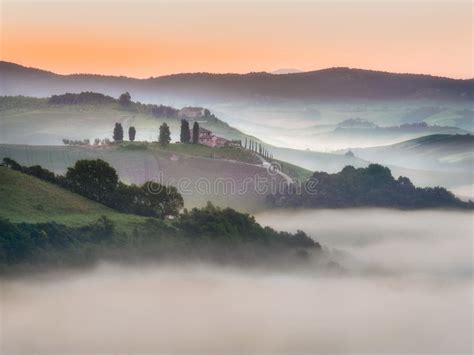 Tuscan Fields Wrapped In Mist Italy Stock Photo Image Of Hill Mist