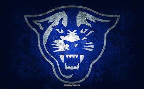 Georgia State Panthers American Football Team Blue Background