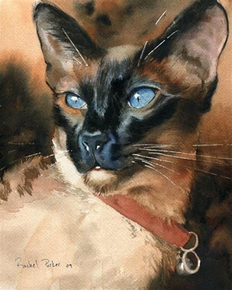 Siamese Cat Seal Point Art Painting Print Of My Watercolor Etsy