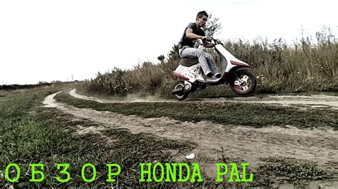 ОБЗОР скутера Honda Pal Youtube