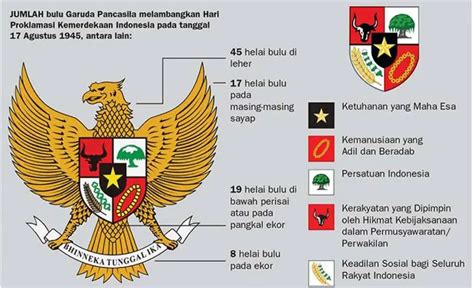 Banyak Bulu Pada Sayap Burung Garuda Homecare24