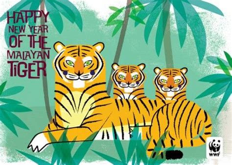 Malayan Tiger Poster Harimaumalayagaleri