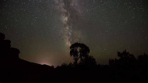 Download Wallpaper 1920x1080 Starry Sky Milky Way Trees Night