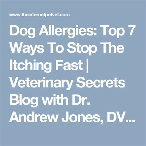 Dog Allergies Top 7 Ways To Stop The Itching Fast Veterinary Secrets