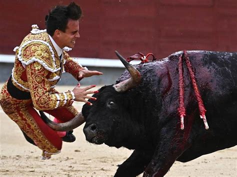 Matador Gored In Groin By Bull He Stabbed In The Neck Rinstantkarma
