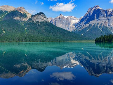 Green Trees Covered Mountain Reflection On Body Of Water 4k Nature Hd