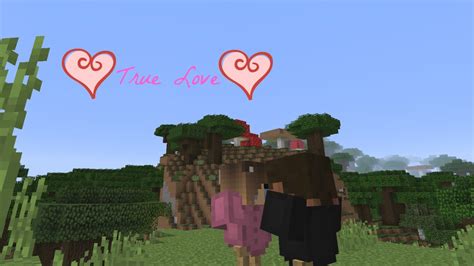 Minecraft True Love Music Video Youtube