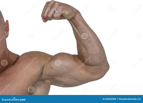 Cropped Muscular Man Flexing Bicep Stock Photo Image Of Caucasian