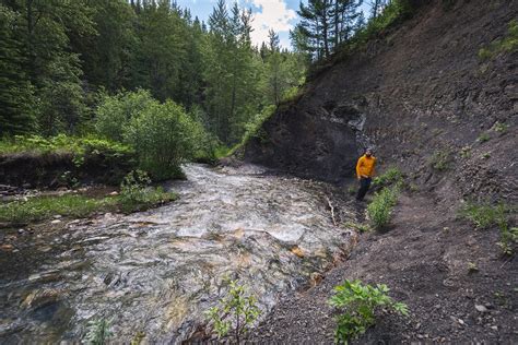How To Hike To Allison Creek Falls In The Crowsnest Pass — Seeing The
