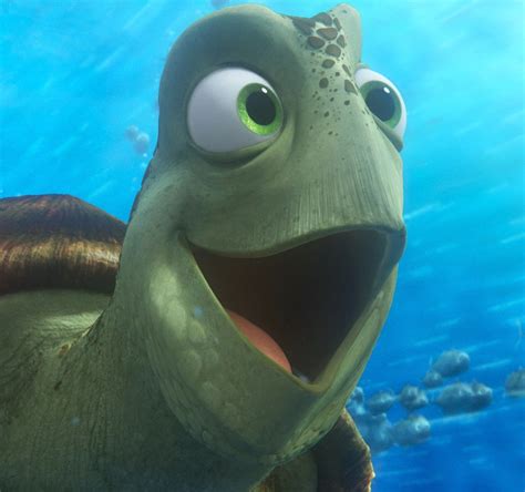 Crush Is A Sea Turtle And A Supporting Character In Disneypixars 2003 Animated Film Findi