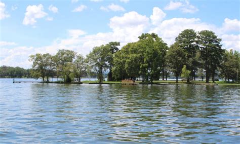 The 10 Biggest Lakes In Alabama A Z Animals