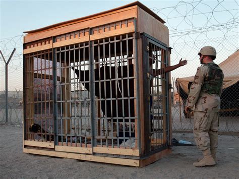 Judge Rules That The Us Must Release Photos From Abu Ghraib Where
