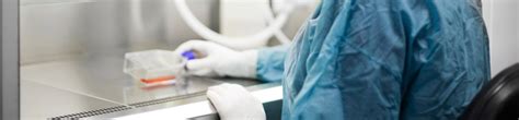 Click here to see more about our services. Herpes - Cook County Department of Public Health