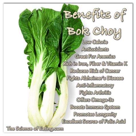 Health Benefits Of Bok Choy Nikki Kuban Minton