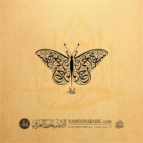 Sarah Ahmad Ahmadi In Zoomorphic Butterfly Arabic Thuluth Calligraphy
