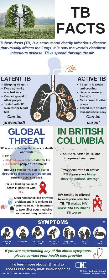 Tb Facts Infographic National Prevention Information Network Free
