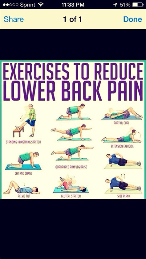 Exercises To Reduce Lower Back Pain Musely