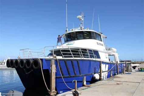 Catamaran Twin Jet Utility Transfer Vessel Commercial Vessel Boats