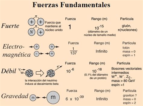 Fuerzas Fundamentales Hyperphysics Didactalia Material Educativo