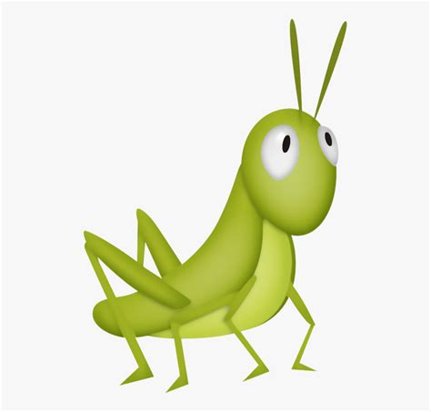 Cricket Insect Clipart Grasshopper Cartoon Images