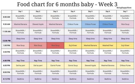 Breast milk or formula is the only food your newborn needs. 6 Month Baby Food Chart And Recipes In Tamil in 2021 | 6 ...