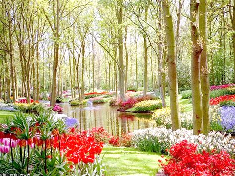 Temukan gambar bunga yang indah. 47+ Lukisan Pemandangan Taman Bunga