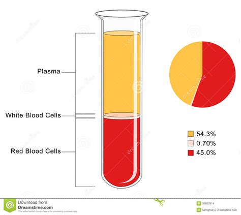 Blood is a mixture of plasma and cells. Blood Composition stock vector. Illustration of liquid ...