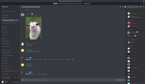 Spam Bot For Discord Falascricket