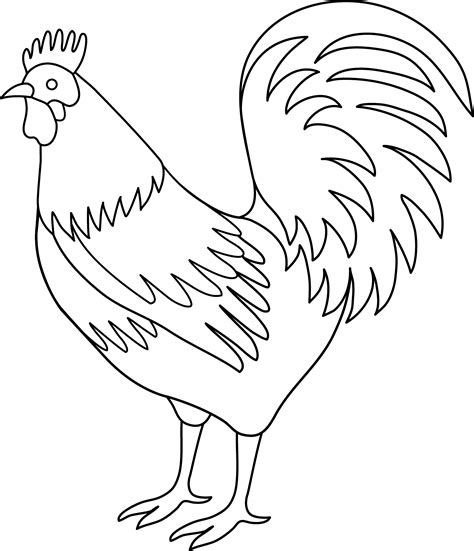 Rooster Coloring Page Free Clip Art