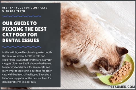 Dental (tooth and gum) disease is a very common problem in cats, especially as they get older. 10 Best Cat Foods for Older Cats with Bad Teeth