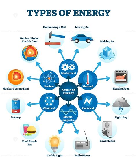 A Diagram Showing Different Types Of Energy In The Bo