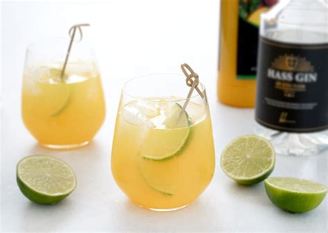 Gin Hass Opskrift På Den Lækre Frugtrige Mango Cocktail Med Lime