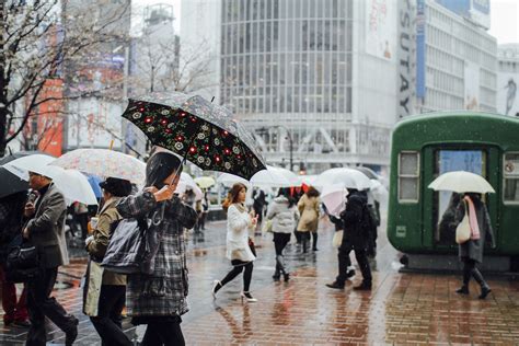 Rainy Day In Shibuya Tokyo Savvy Tokyo