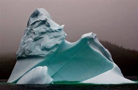 Icebergs Cavendish Petty Harbour Triton Newfoundland Newfoundlander