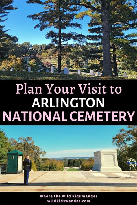 Visiting Arlington National Cemetery Where The Wild Kids Wander