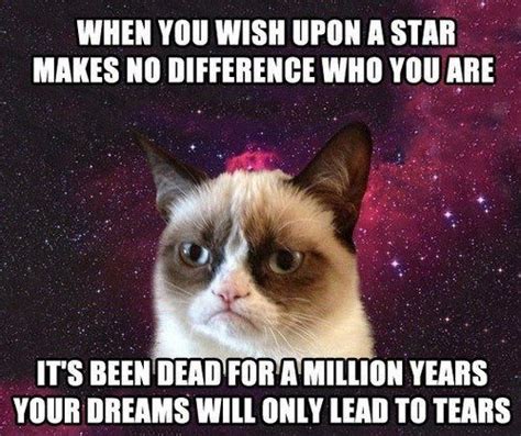 13 New Grumpy Cat Memes