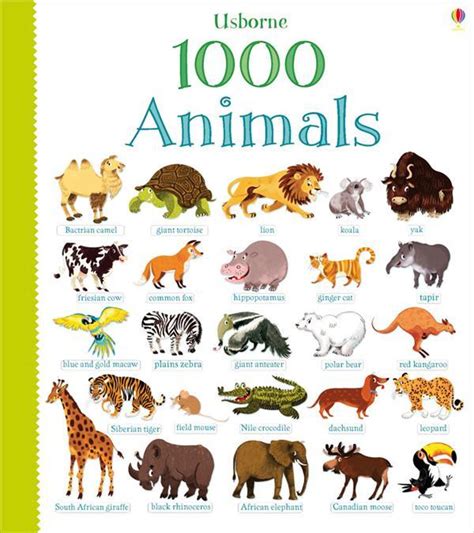 1000 Animals Better Reading