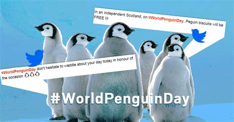It Is World Penguin Day And They Need Our Help Metro News
