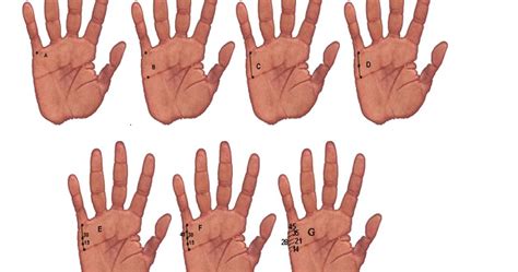 And along the way, you'll learn about possibilities around luck, fame, travel, and career. How to Calculate Marriage Age In Palmistry | INDIAN PALM ...