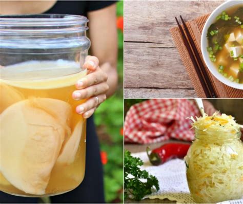 why fermented foods matter my healthy hub
