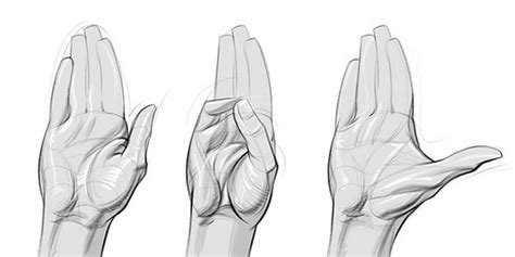 Proko How To Draw Hands Muscle Anatomy Of The Hand